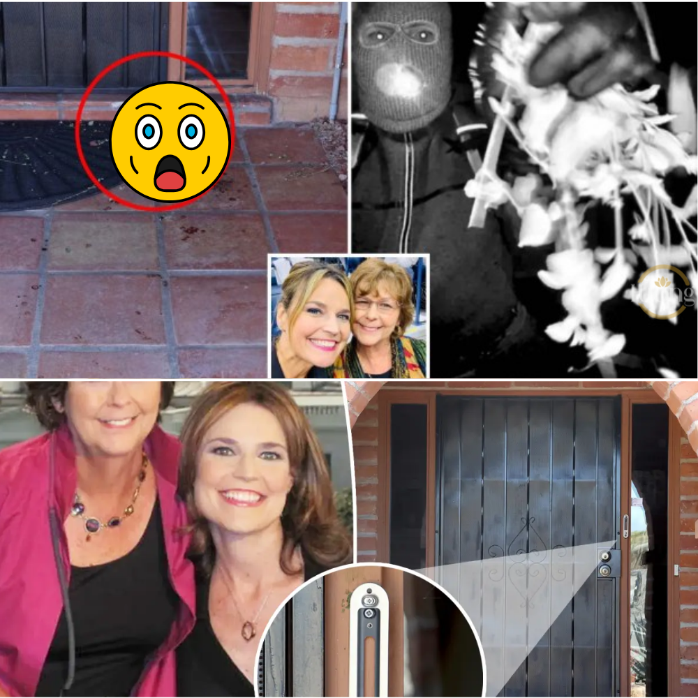 Before She Vanished 💔 Armed Intruder Disabled Door Cam — Investigators Now Reveal the Eerie Clue on Her Doorstep