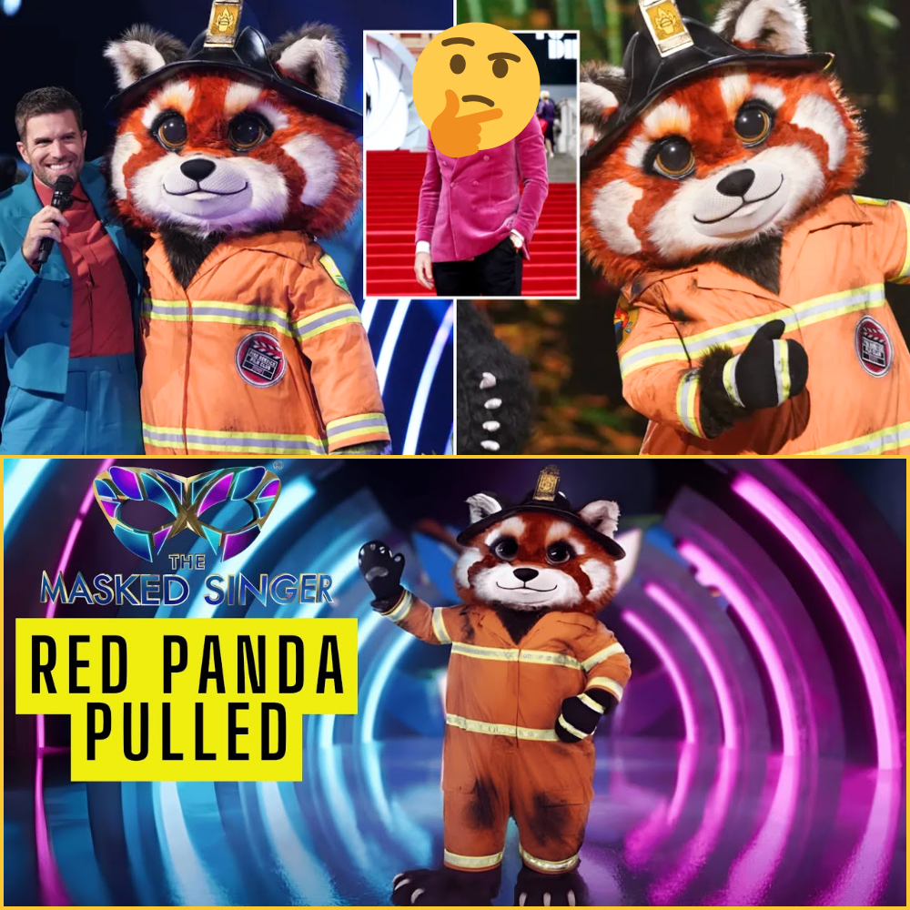 Fans Screamed ‘Finally!’ as a Beloved British Comedy Icon Was Unmasked as Red Panda on The Masked Singer UK 🐼🎭🤯
