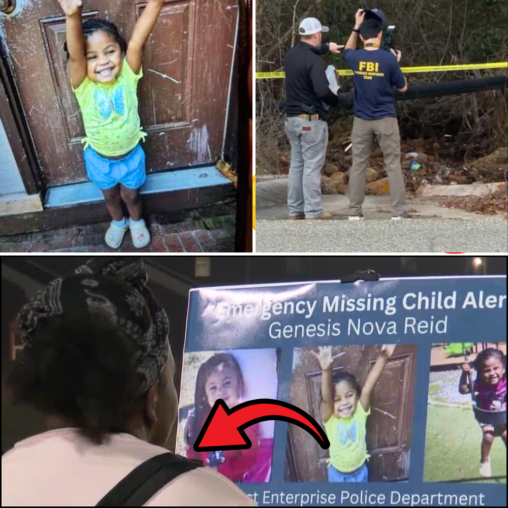 ๐ฑ โCrying. Shouting. Then It Stopped.โ โ Disturbing Nighttime Reports Rock the Case of Missing Toddler Genesis Reid ๐๐จ