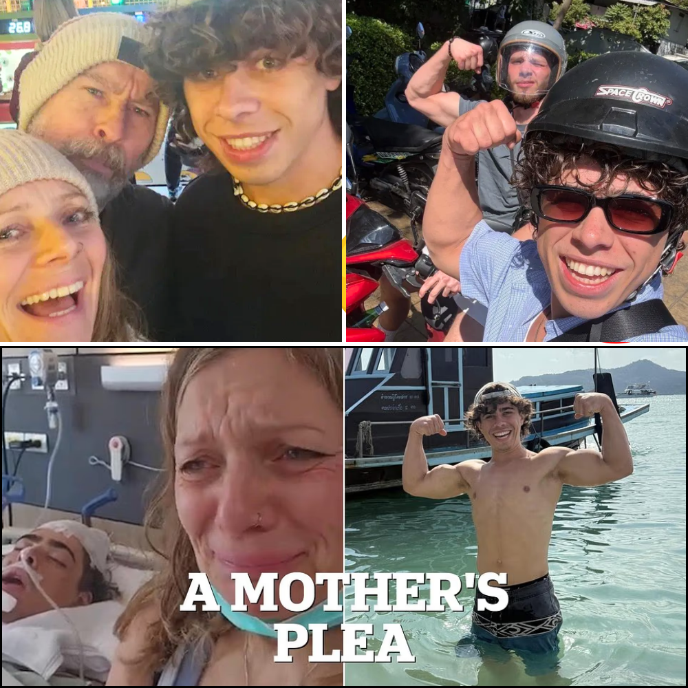 He Was Left For Dead On A Thai Road — Now His Mother Is Begging The World To Help Bring Her Son Home 💔😢🙏