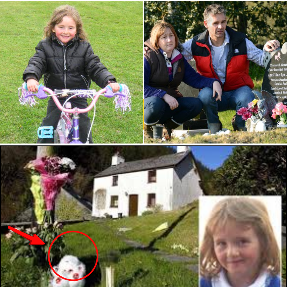 🕊️ Fourteen Years Without a Body to Bury: The Heartbreaking Plea of April Jones’ Mother That Has Reignited a National Debate 💔🕯️