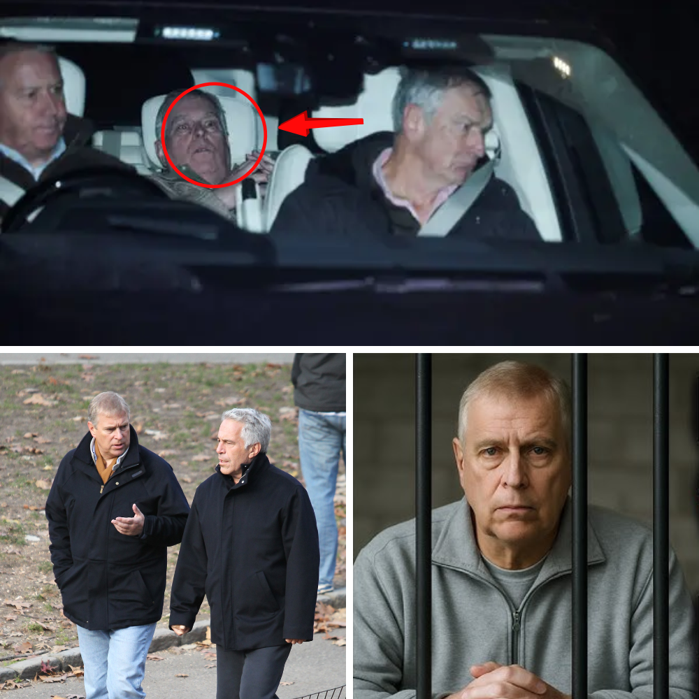 DESPERATE DEAL IN THE SHADOWS: Ex-Prince Andrew Reportedly Ready to Sacrifice Royal Line of Succession in Bombshell Bargain to Dodge Prison – ‘Jail Is the ONE Outcome He Cannot Control’ as Epstein Probe Tightens Grip!