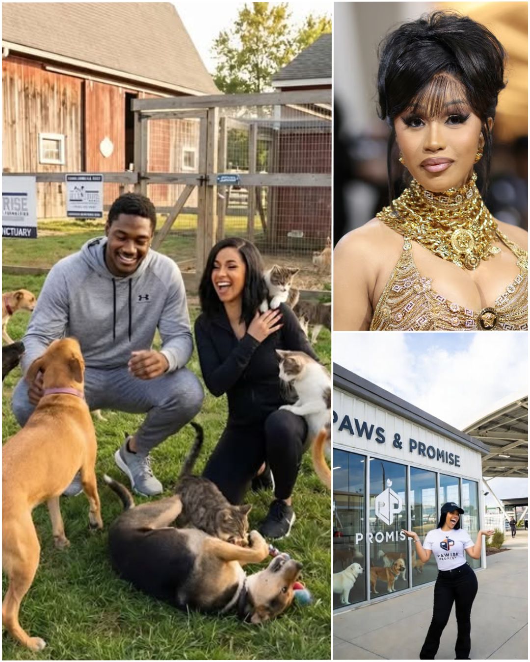 Cardi B and Fiancé Offset Rumored to Have Made Multi-Million-Dollar Charitable Contribution to Abandoned Animal Relief Project