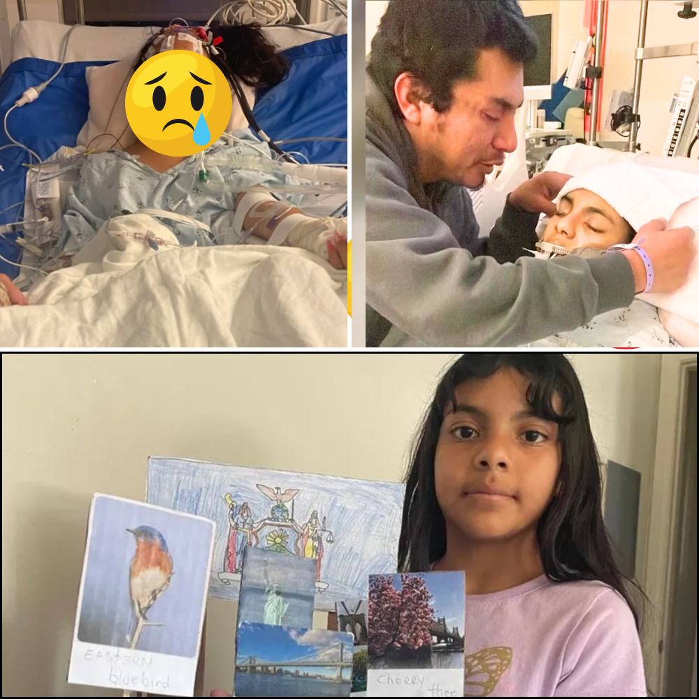 🕊️📢 “This Should Never Happen to a Child” — Family Speaks Out After 12-Year-Old Dies Following School Incident