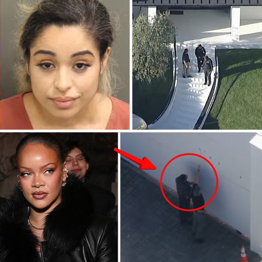 Rihanna Shooting Suspect’s Disturbing Posts Emerge as Star Joins Growing Celebrity List Facing Fan Threats