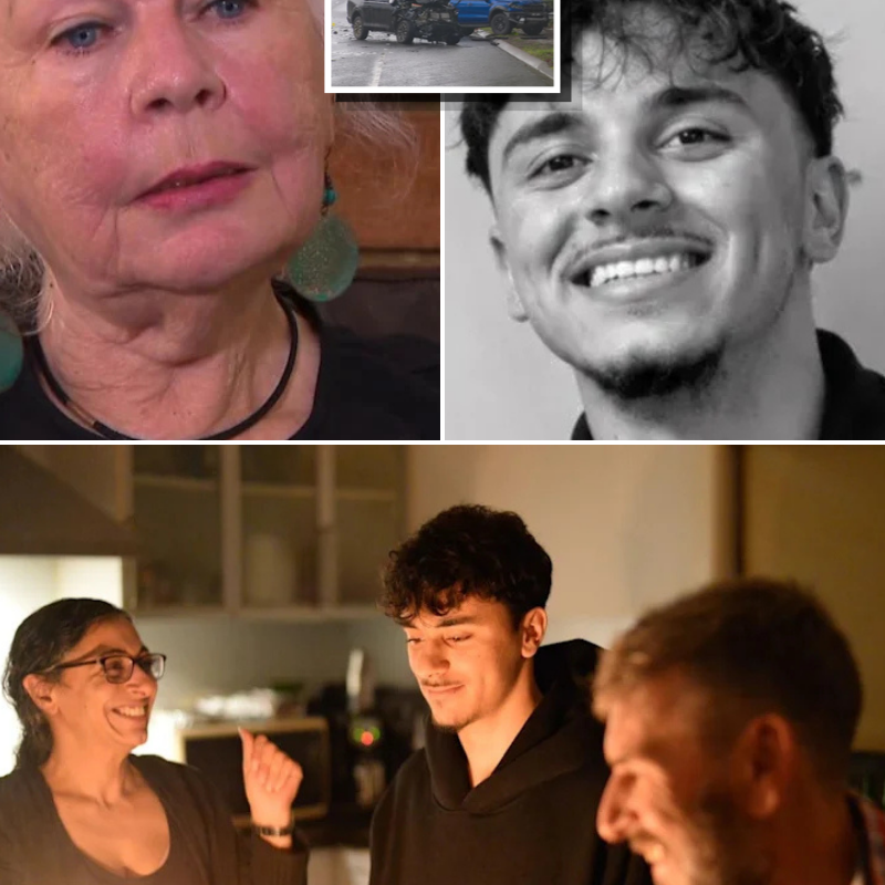 Escalating Fundraiser and Grandmother’s Statement Uncover Unexpected Details About Recent Car Crash