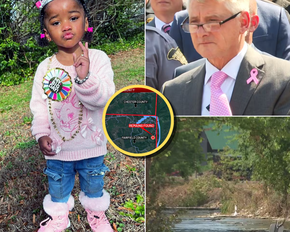 THE CALCULATED EFFORT: Shocking details emerge regarding highly organized steps taken to erase child’s existence