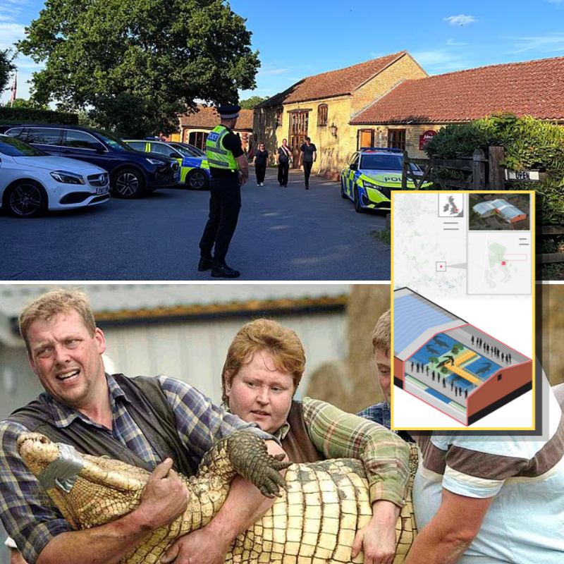 Safeguarding Investigation Launched Into Care Provided to Man Accused of Throwing Boy Into Crocodile Enclosure