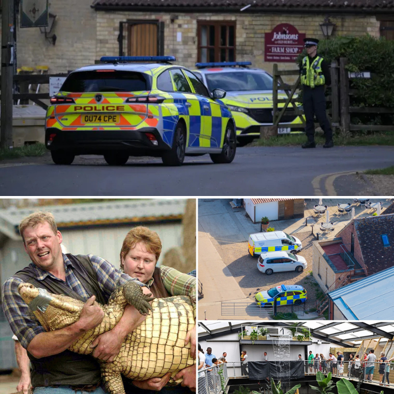 Safeguarding Investigation Launched Into Care Provided to Man Accused of Throwing Boy Into Crocodile Enclosure