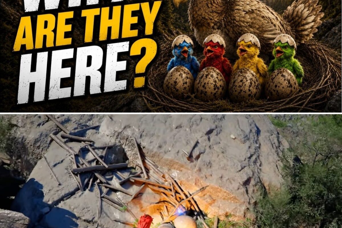 THE ROCCOA’S HILL ANOMALY: ‘CRIMSON DESERT’ COMMUNITY OBSESSED WITH MYSTERIOUS, UNTAMEABLE KUKU BIRD NESTING GROUND