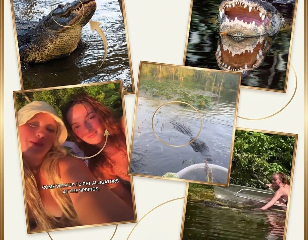 CLOUT OVER COMMON SENSE: Influencers Investigated for Petting Florida Alligator Days After Tragic Fatal Attack