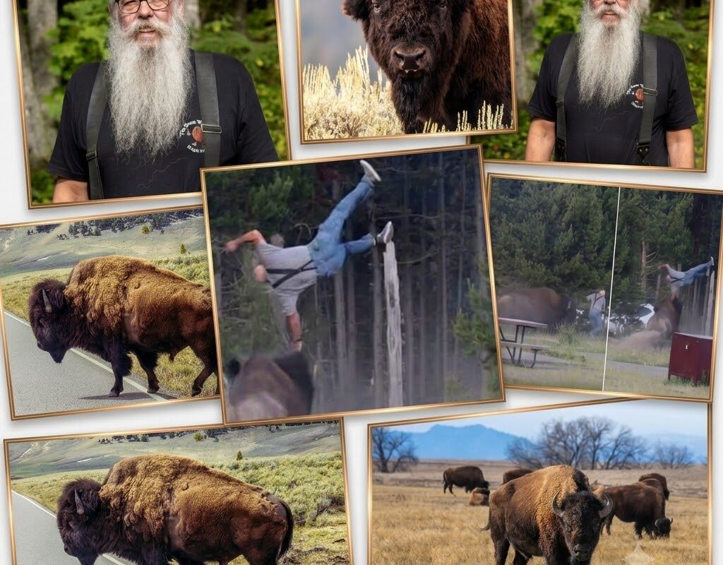 ‘IN GOOD SPIRITS’: Grandfather Launched 8 Feet Into Air by Rampaging Yellowstone Bison Identified as He Cracks Jokes From Hospital Bed