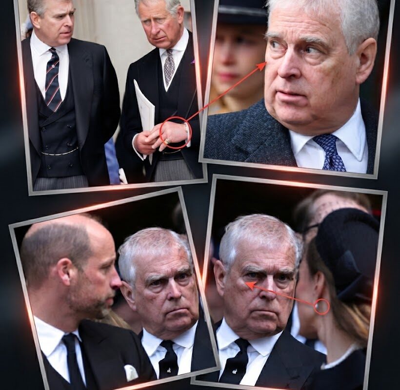 OUT OF TOUCH OR DESPERATE? Inside Andrew Mountbatten-Windsor’s Shocking Push for a Royal Comeback