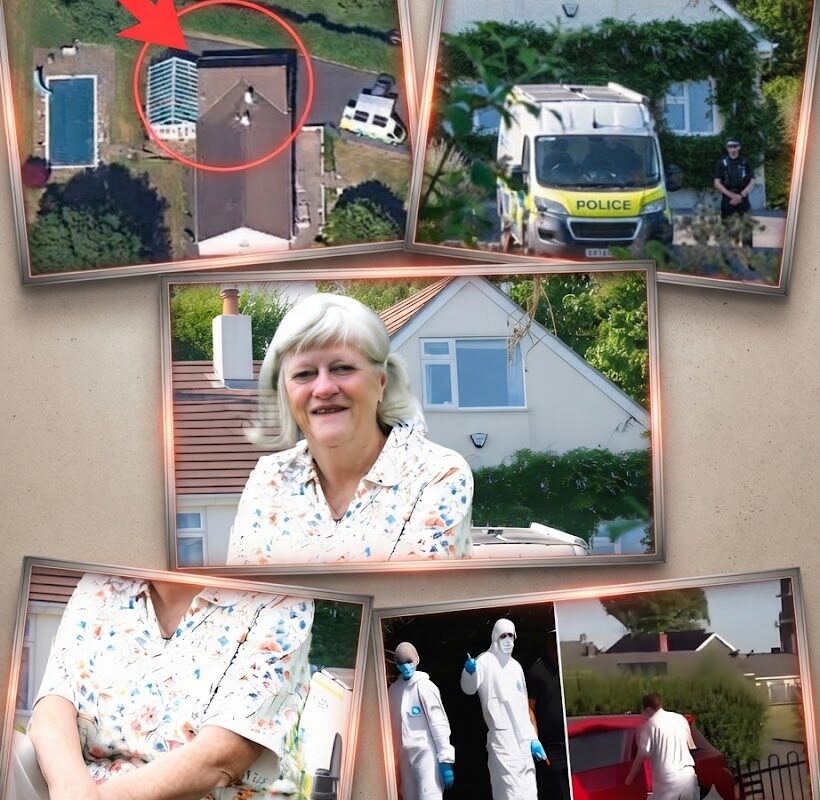 Terror in the Countryside: How the Brutal Murder of 78-Year-Old Ann Widdecombe Triggered a National Security Crisis