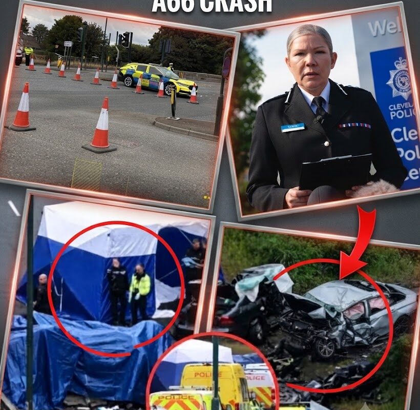 Beyond the Guardrail: How a Multi-Force Sweep Uncovered an Organized Crime Nexus Behind the A66 Horror Crash