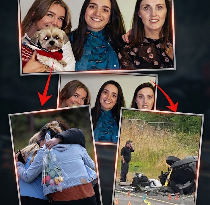 Silence Broken: First Witness Relives Haunting Sounds Inside M9 Wreckage as True Extent of Innocent Family’s Injuries Emerges